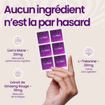 Composition patch Focus The French Patch - Lion's Mane, L-théanine, ginseng.